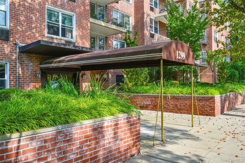 1299 Palmer Avenue 237 Larchmont NY 10538