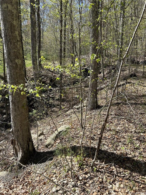 Vacant Land For Sale - 14 Hawk Mountain Drive<br/> Orange County, Sparrowbush, NY 12780