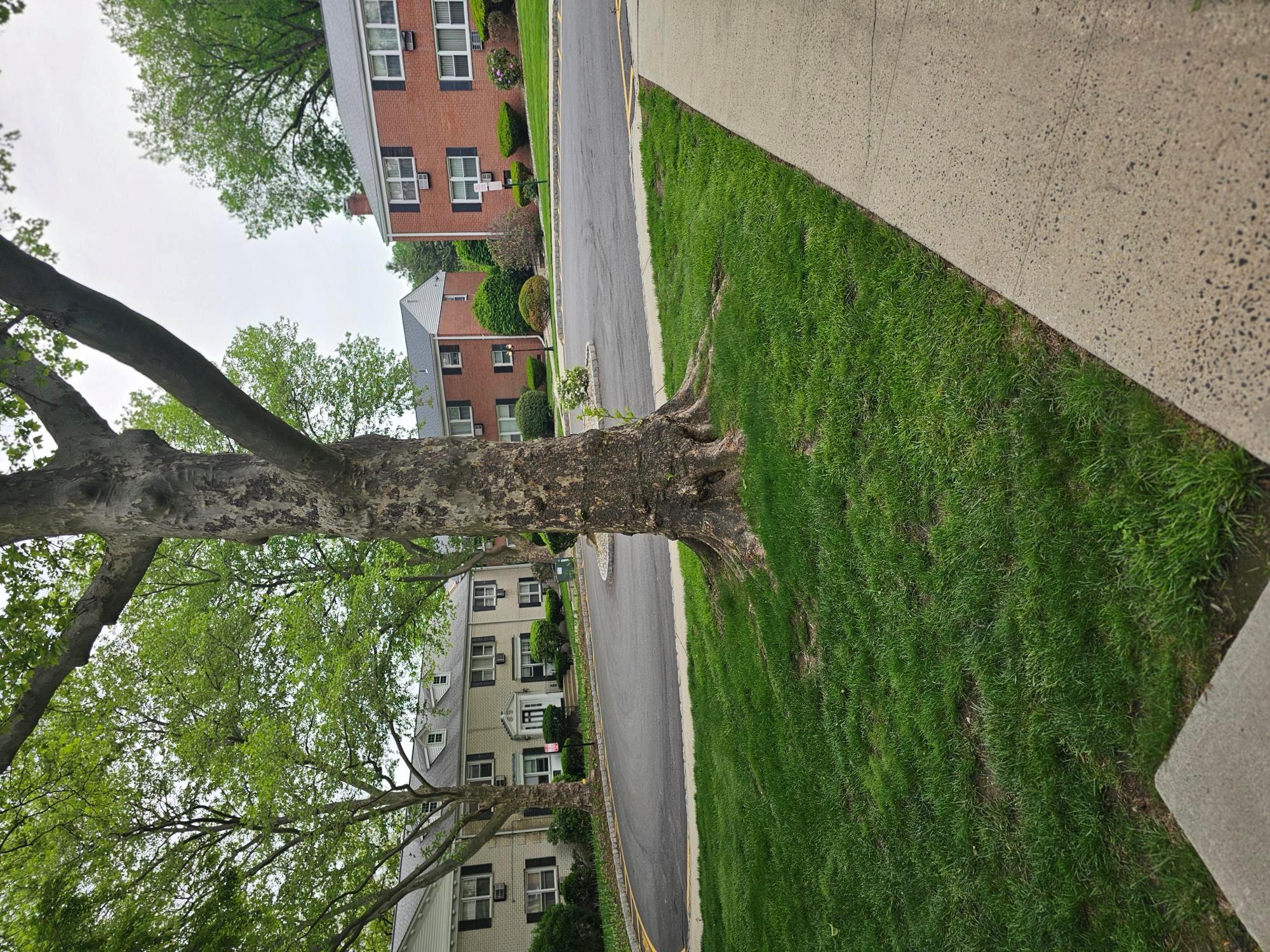 5 Oxford Court Ct #7815, Suffern, New York image 3