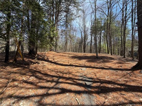 Vacant Land For Sale - 42 Yorkville Park Road<br/> Sullivan County, Bloomingburg, NY 12721