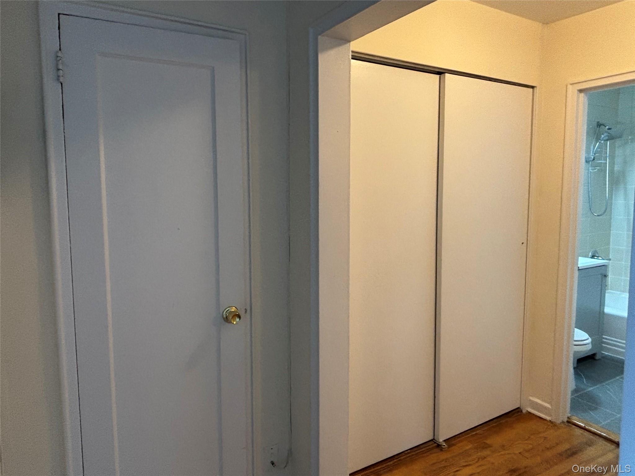 196 Underhill Avenue 2A