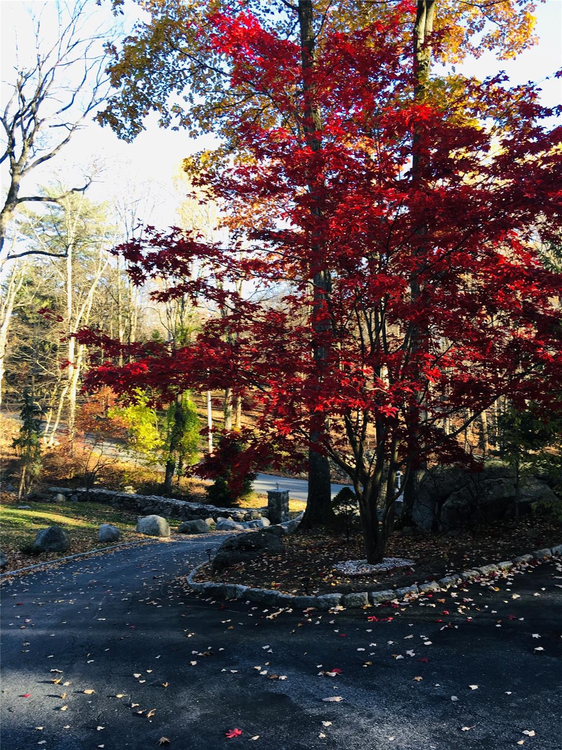 123 East Street, South Salem, New York image 36