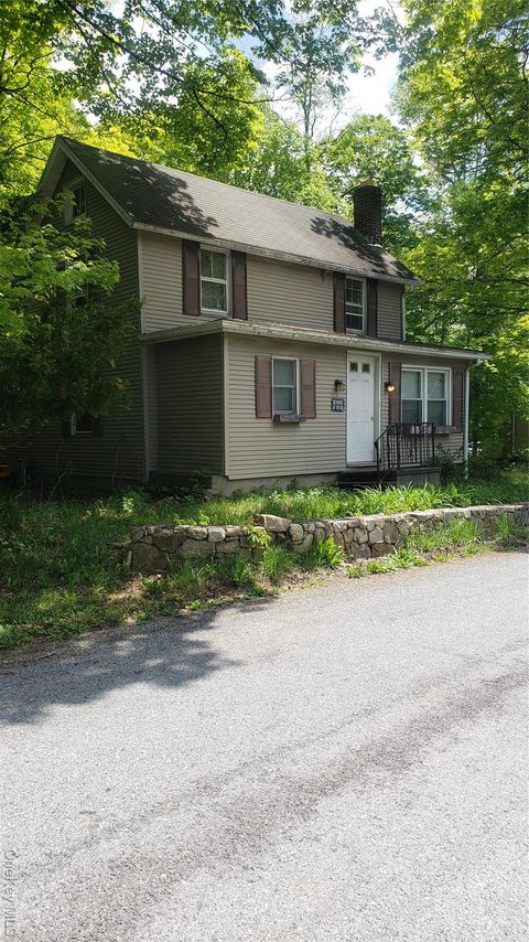 Homes For Sale - 14 SE Mountain Road<br/> Wingdale, NY 12594