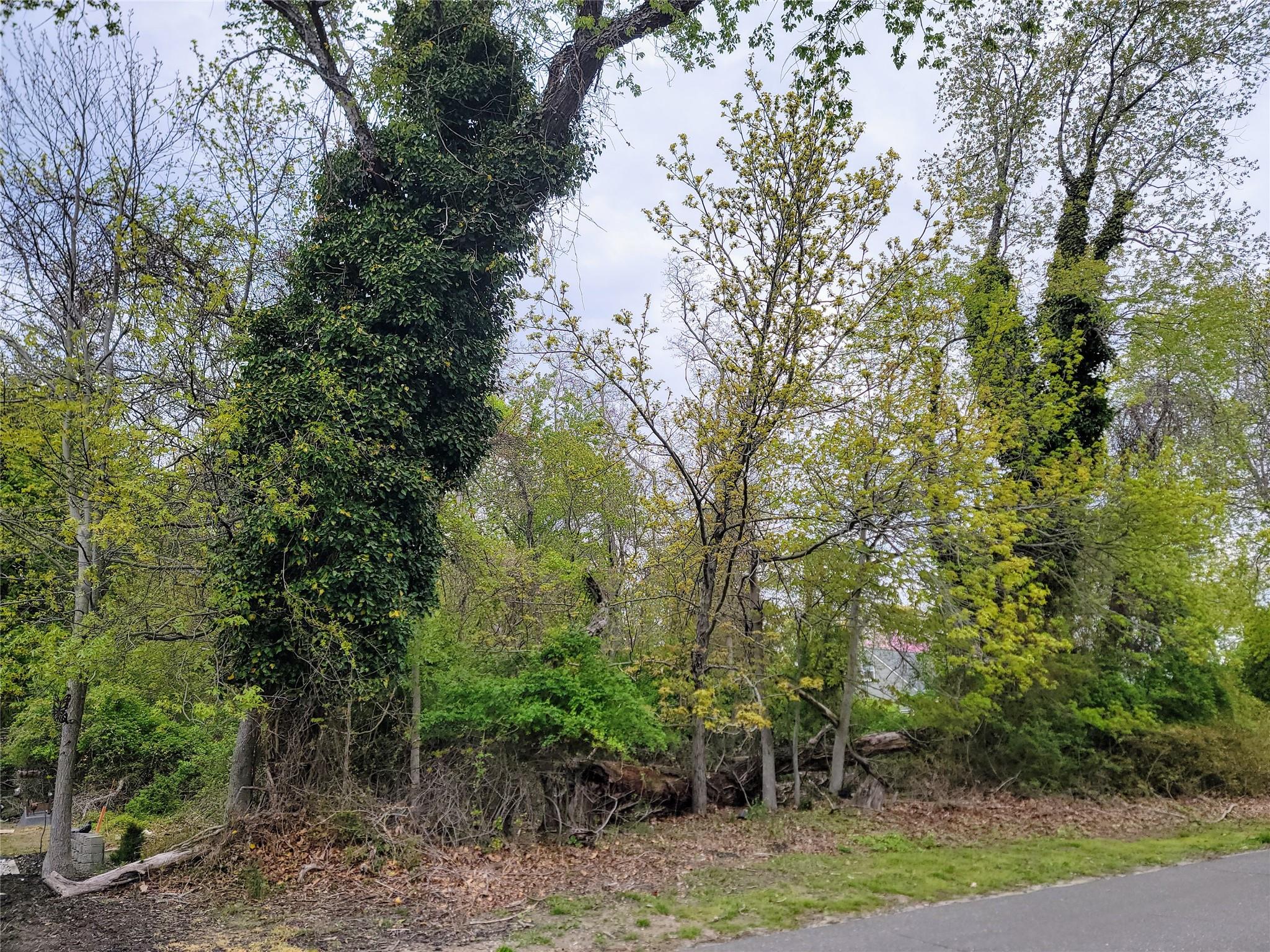 Pine Tree Road, Cutchogue, Hamptons, NY -  - 