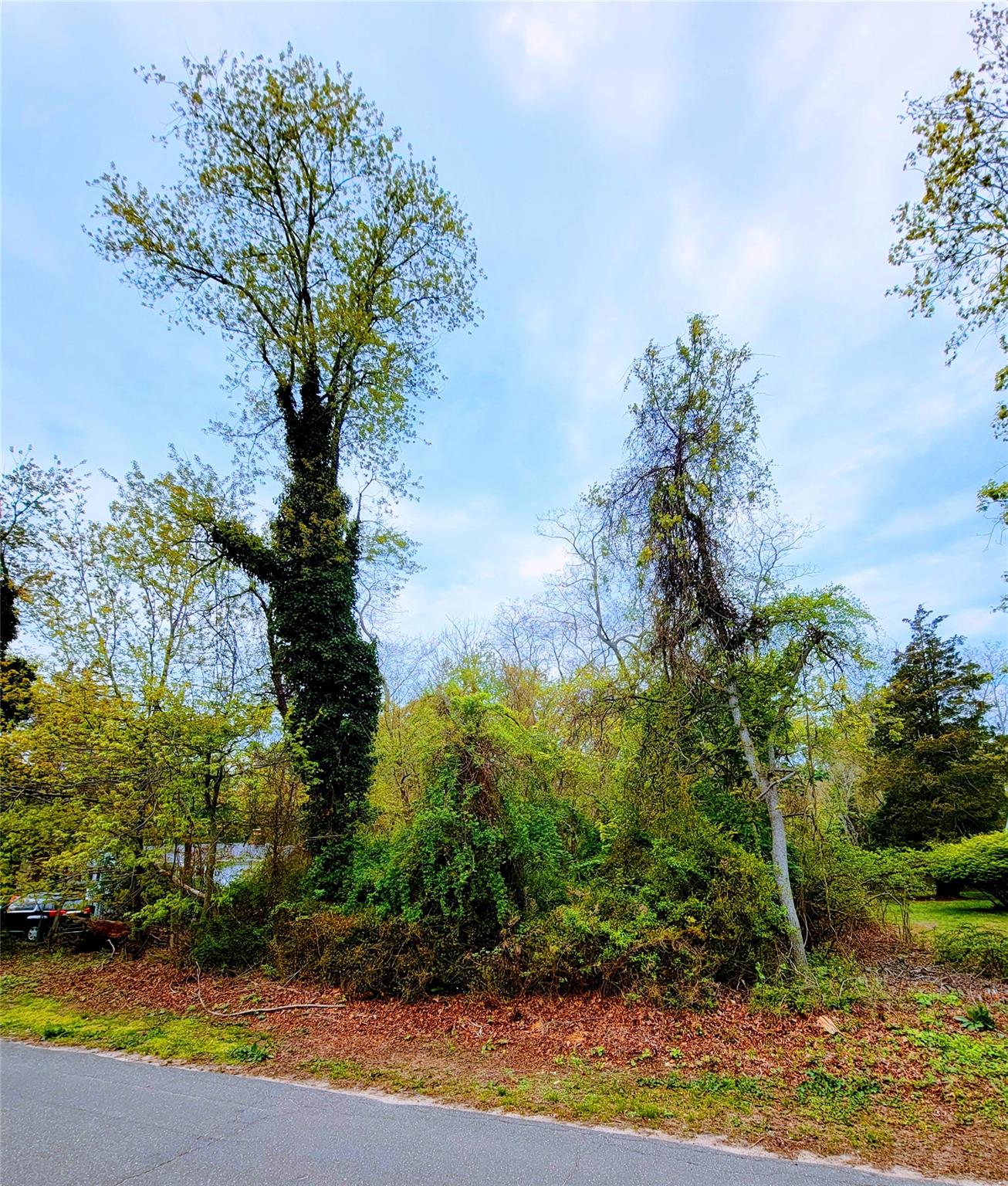 675 Pine Tree Road, Cutchogue, New York image 2