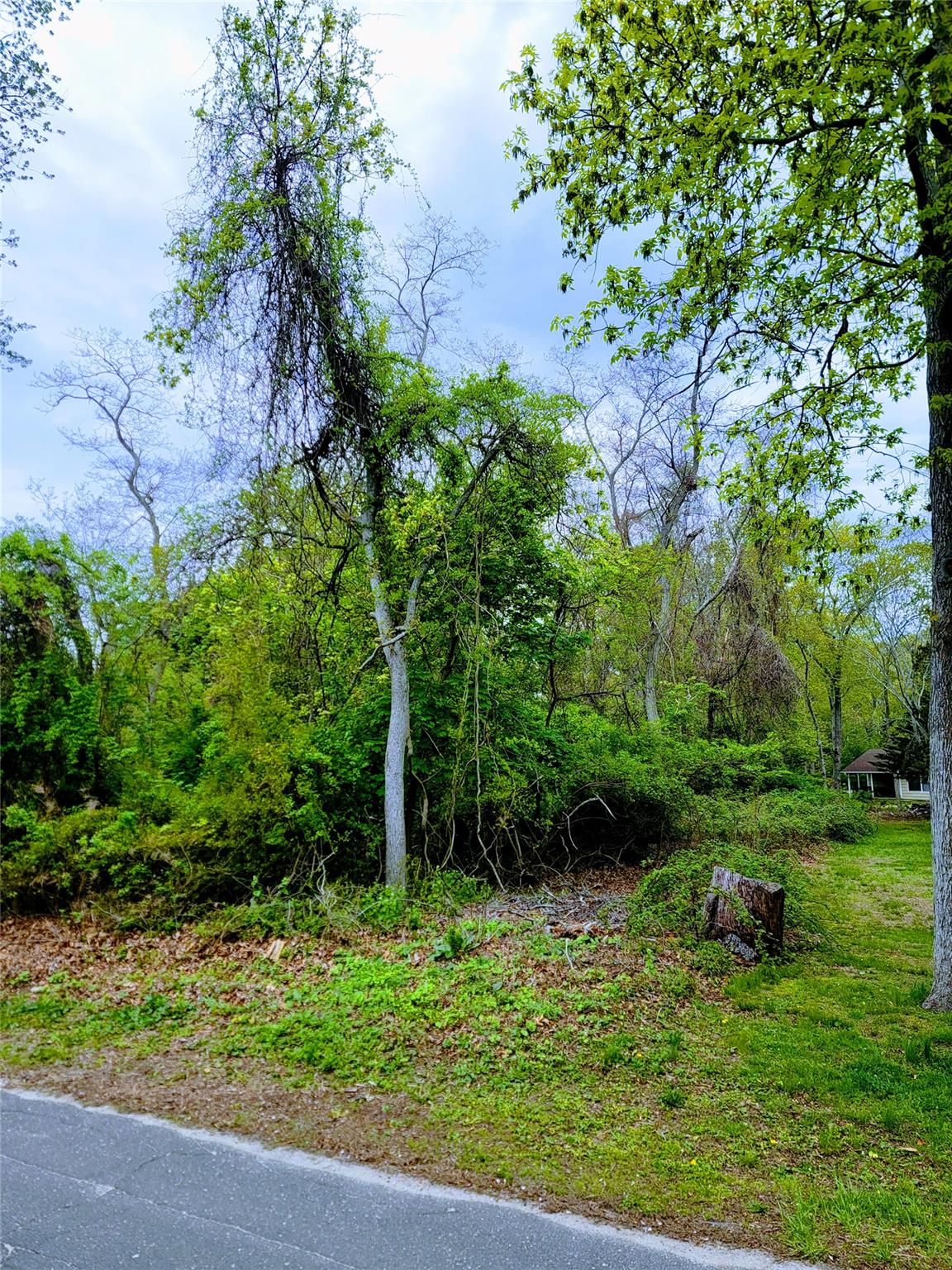 675 Pine Tree Road, Cutchogue, New York image 13