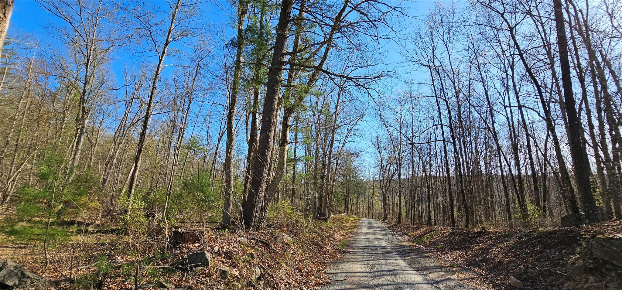 7297 State Route 97, Narrowsburg, Texas image 11