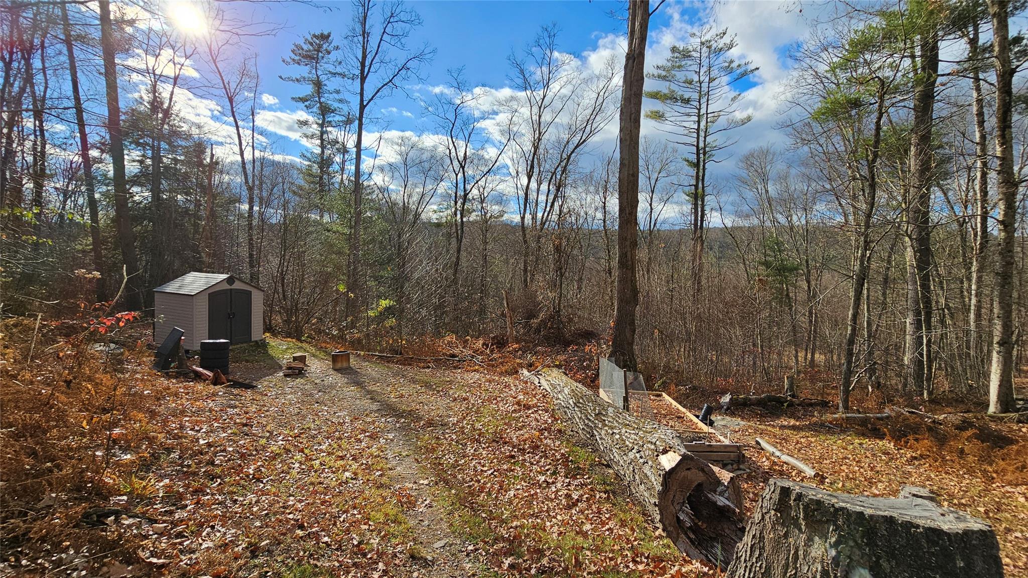 7297 State Route 97, Narrowsburg, Texas image 4