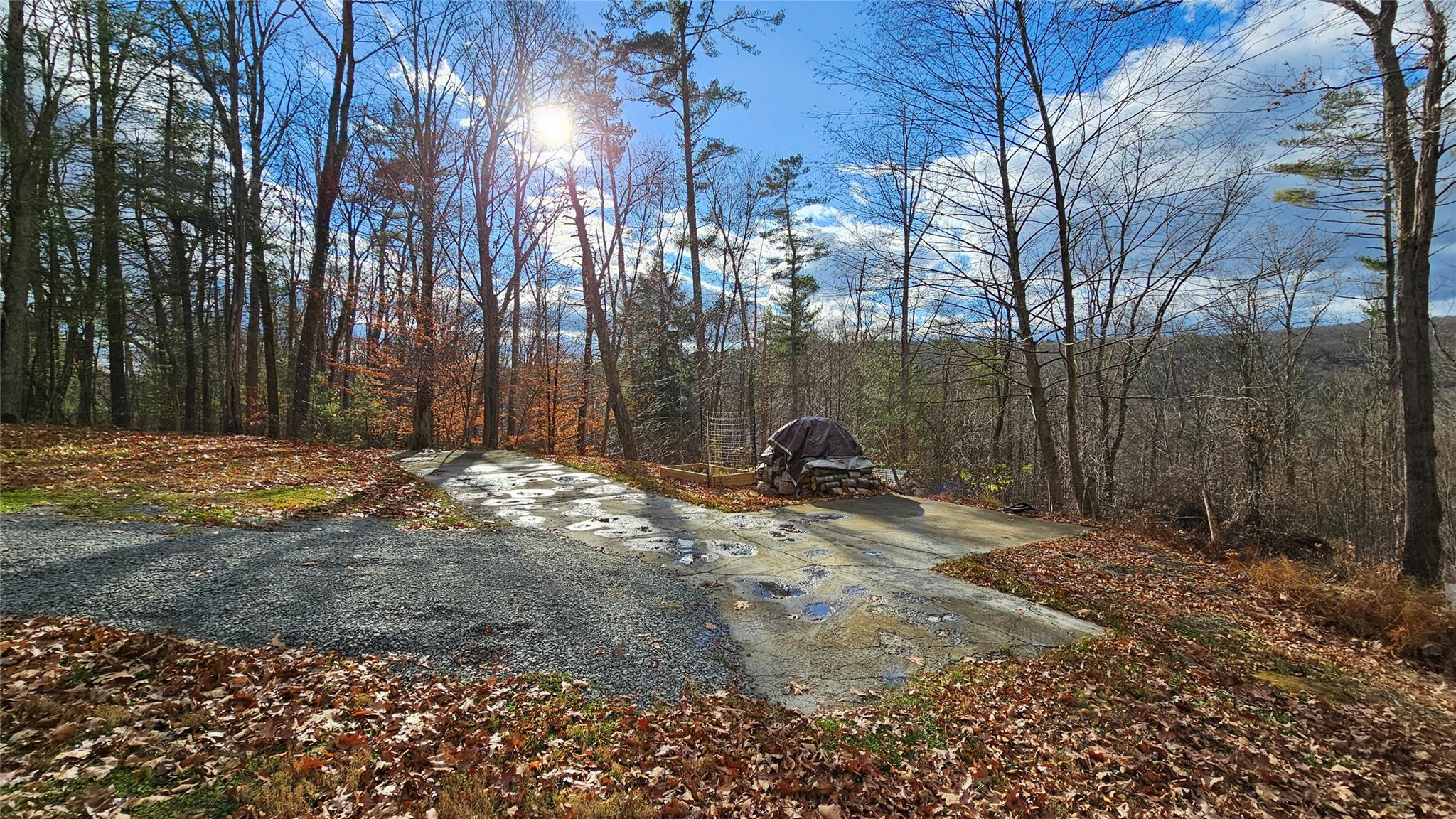 7297 State Route 97, Narrowsburg, Texas image 2
