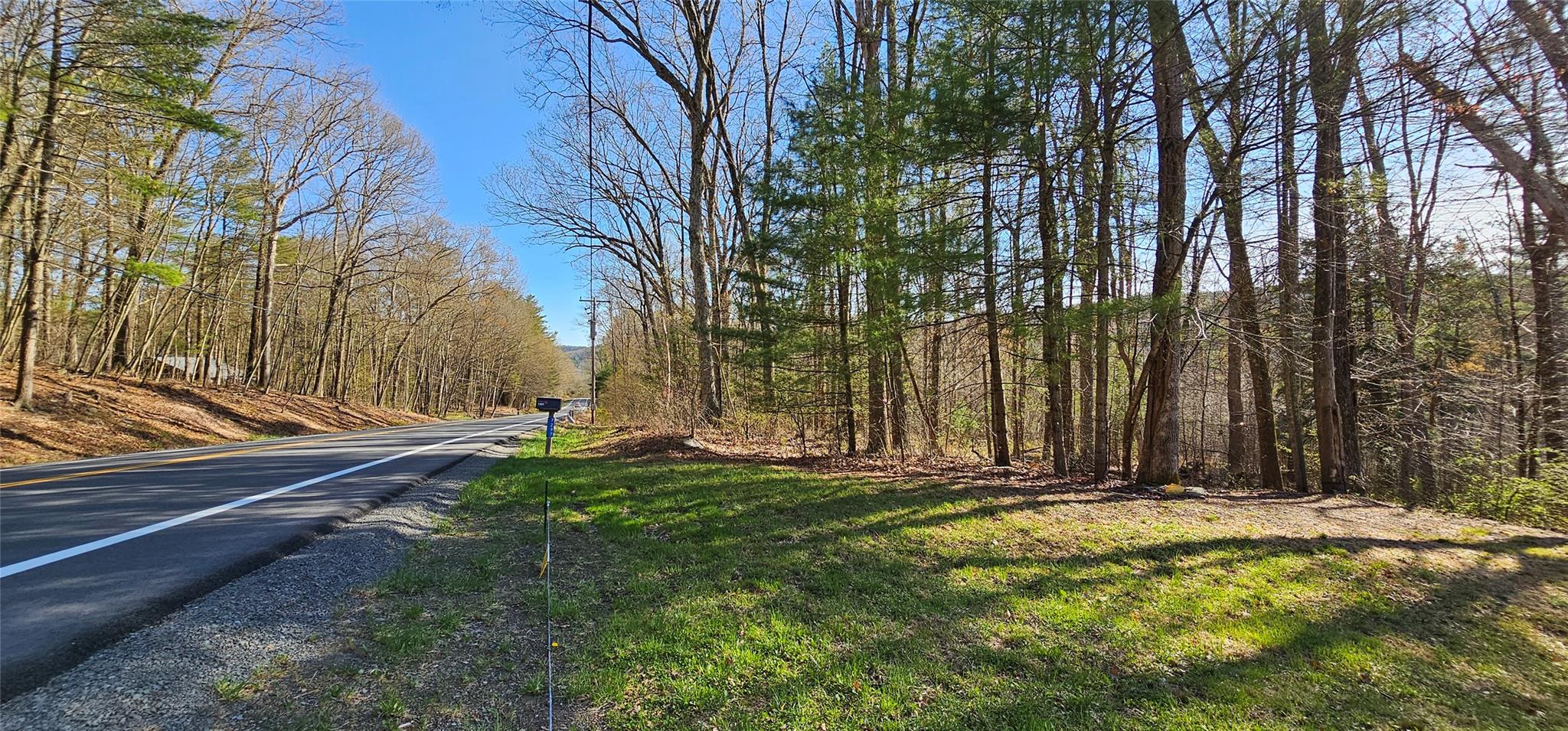 7297 State Route 97, Narrowsburg, Texas image 10