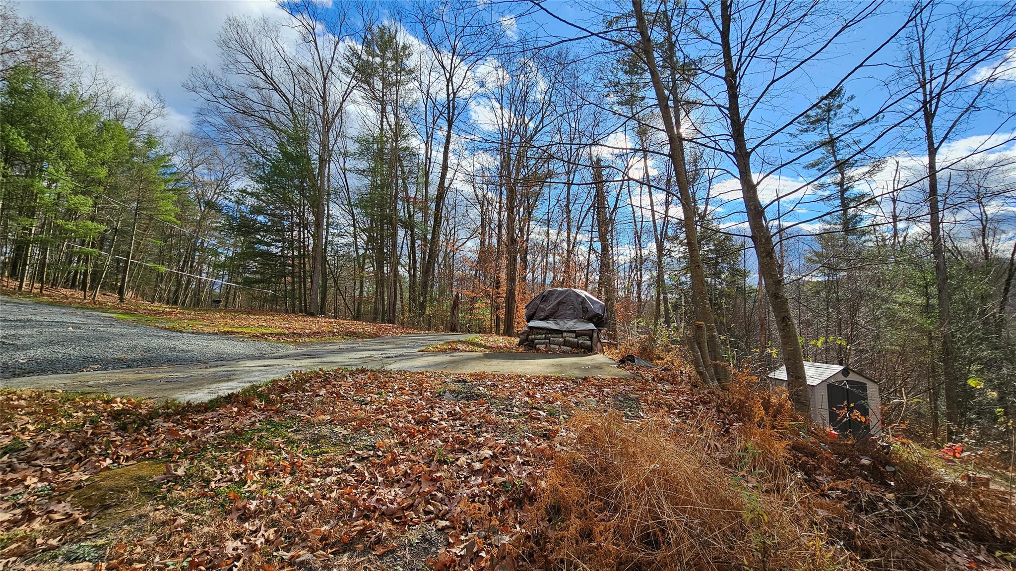 7297 State Route 97, Narrowsburg, Texas image 6