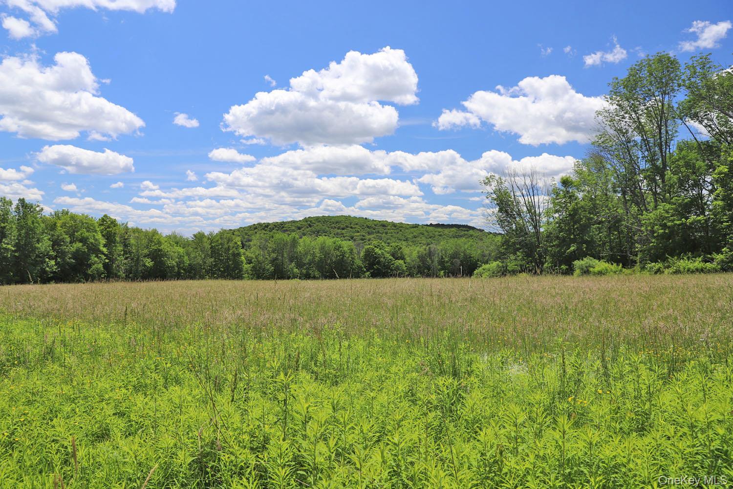 Dietz Road