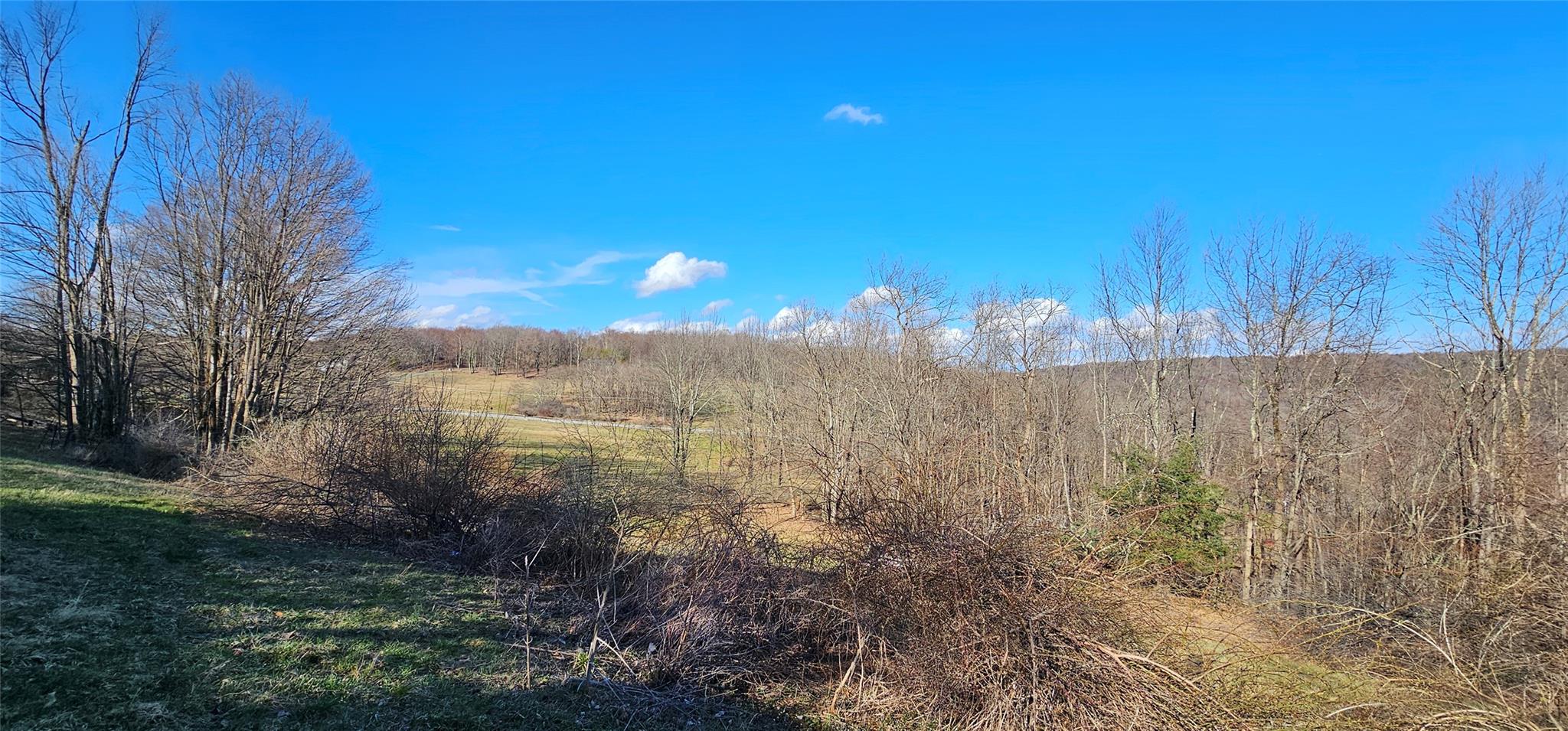 581 Hessinger Lare Road, Jeffersonville, New York image 40