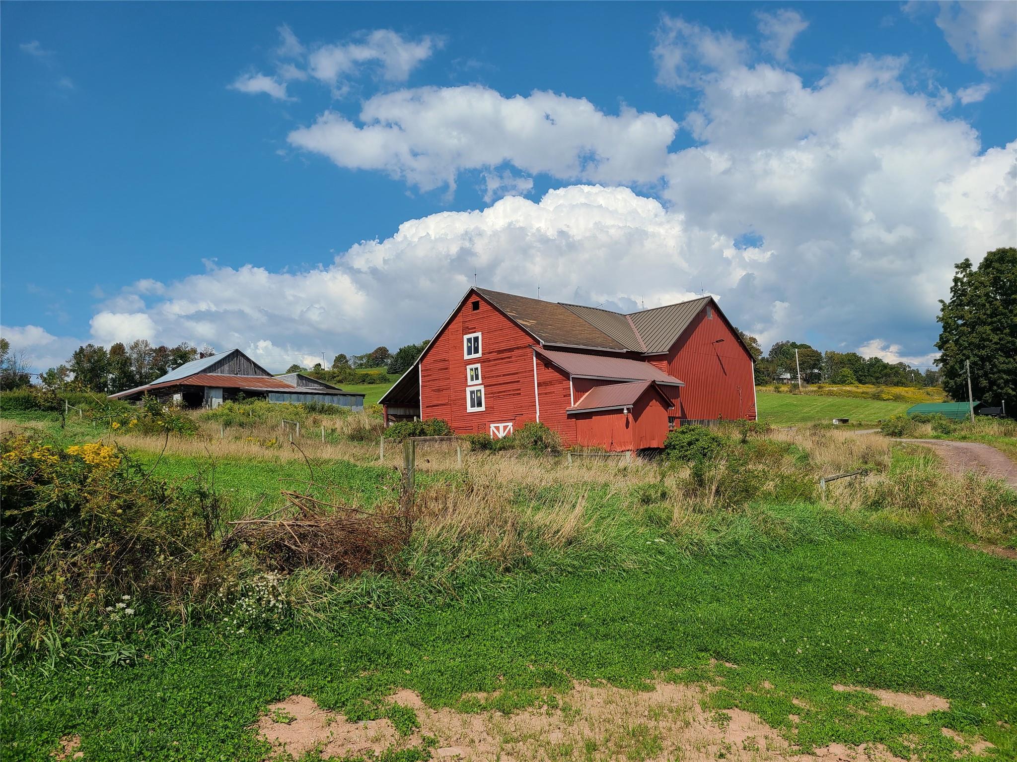 356 Gabel Road, Callicoon, New York image 11