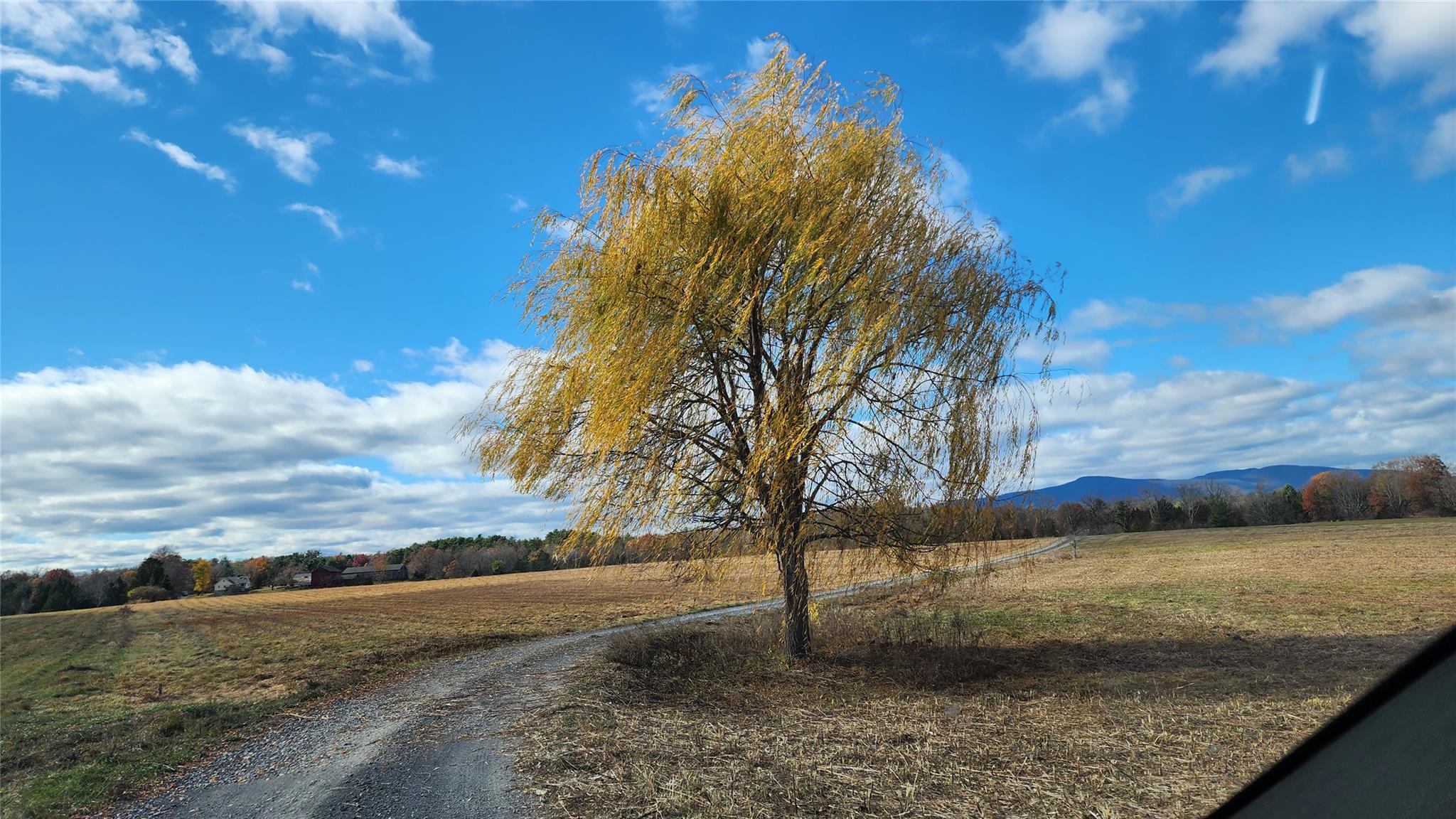 Saugerties, New York 12477, United States, 1 Bedroom Bedrooms, ,1 BathroomBathrooms,Residential,Active,1800