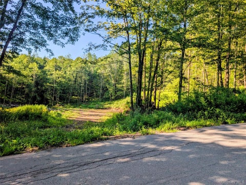 Vacant Land For Sale - Hurd Road<br/> Sullivan County, Swan Lake, NY 12720