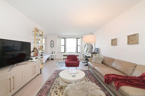 6 Birchwood Court 3A Mineola NY 11501