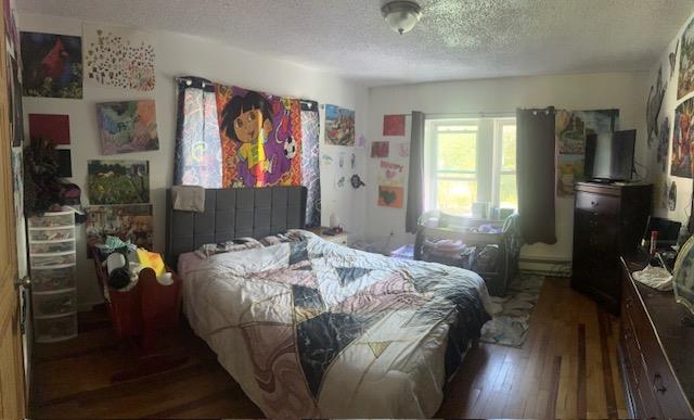 33 Pearl Street, Livingston Manor, New York image 5