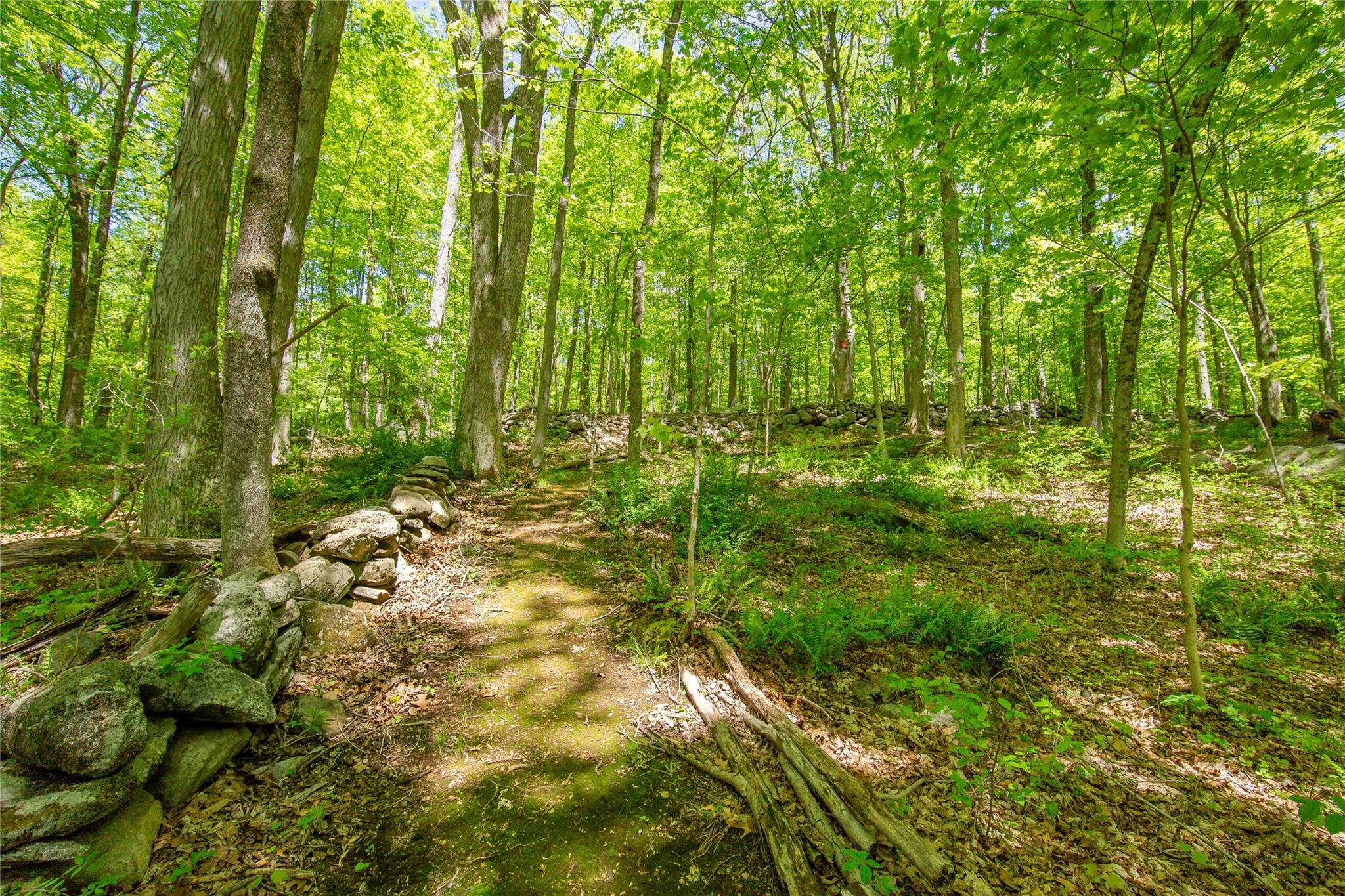 110 Sherwood Hill Road, Brewster, New York image 40