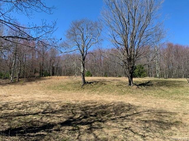 25 Wild Turnpike Turnpike