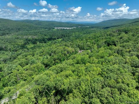Vacant Land For Sale - Mamakating Road<br/> Wurtsboro, NY 12790