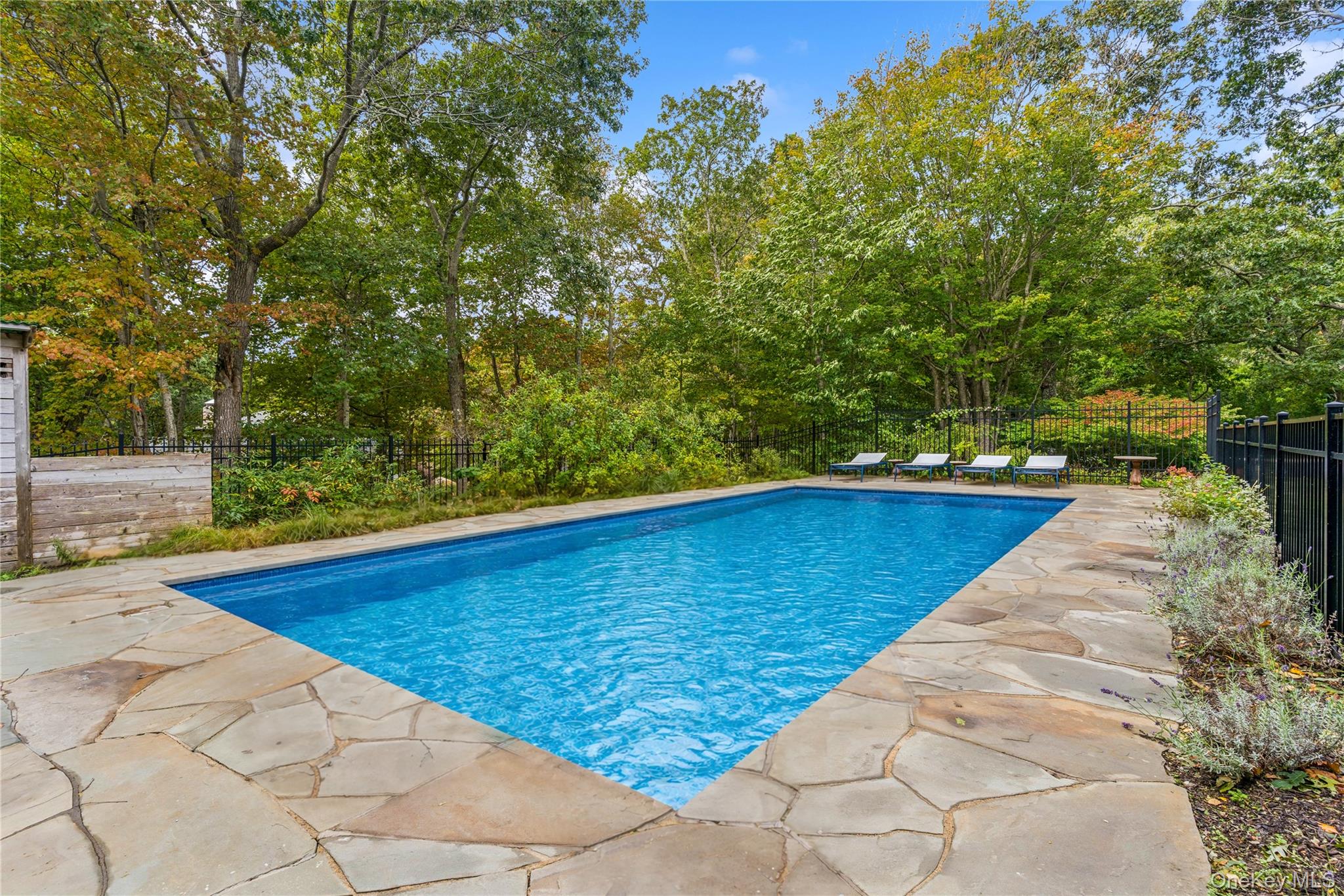 51 Davis Drive