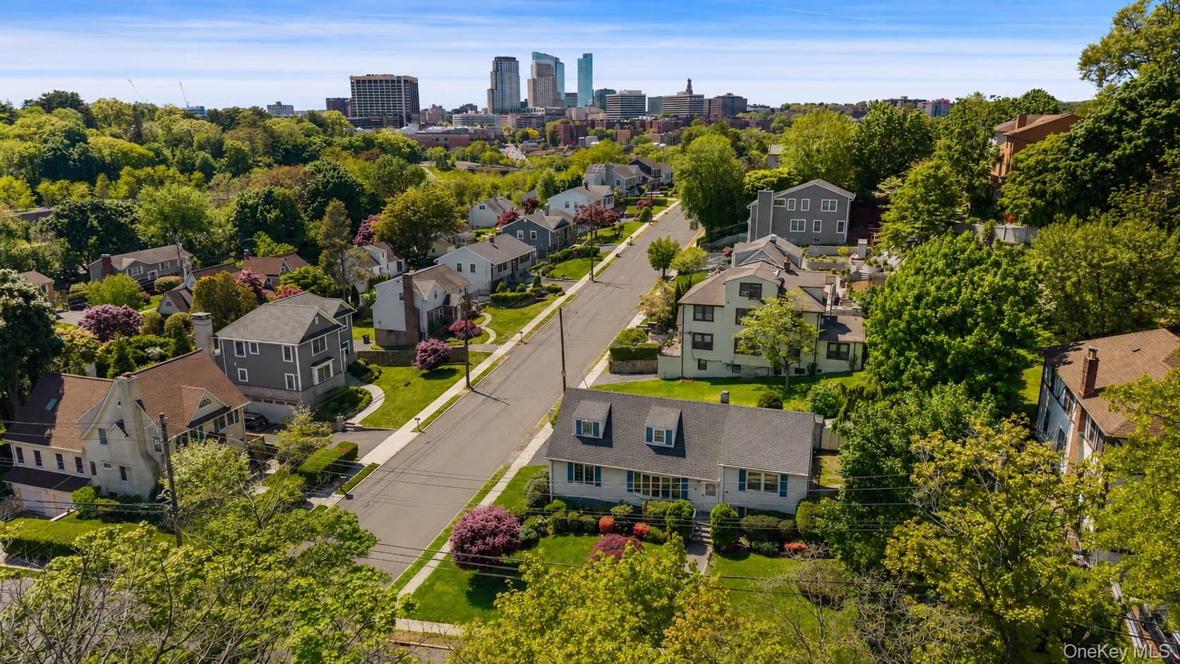 9 White Plains Avenue