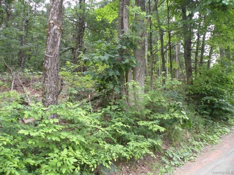 Vacant Land For Sale - Frenchs Hill Rd<br/> New Lebanon, NY 12125
