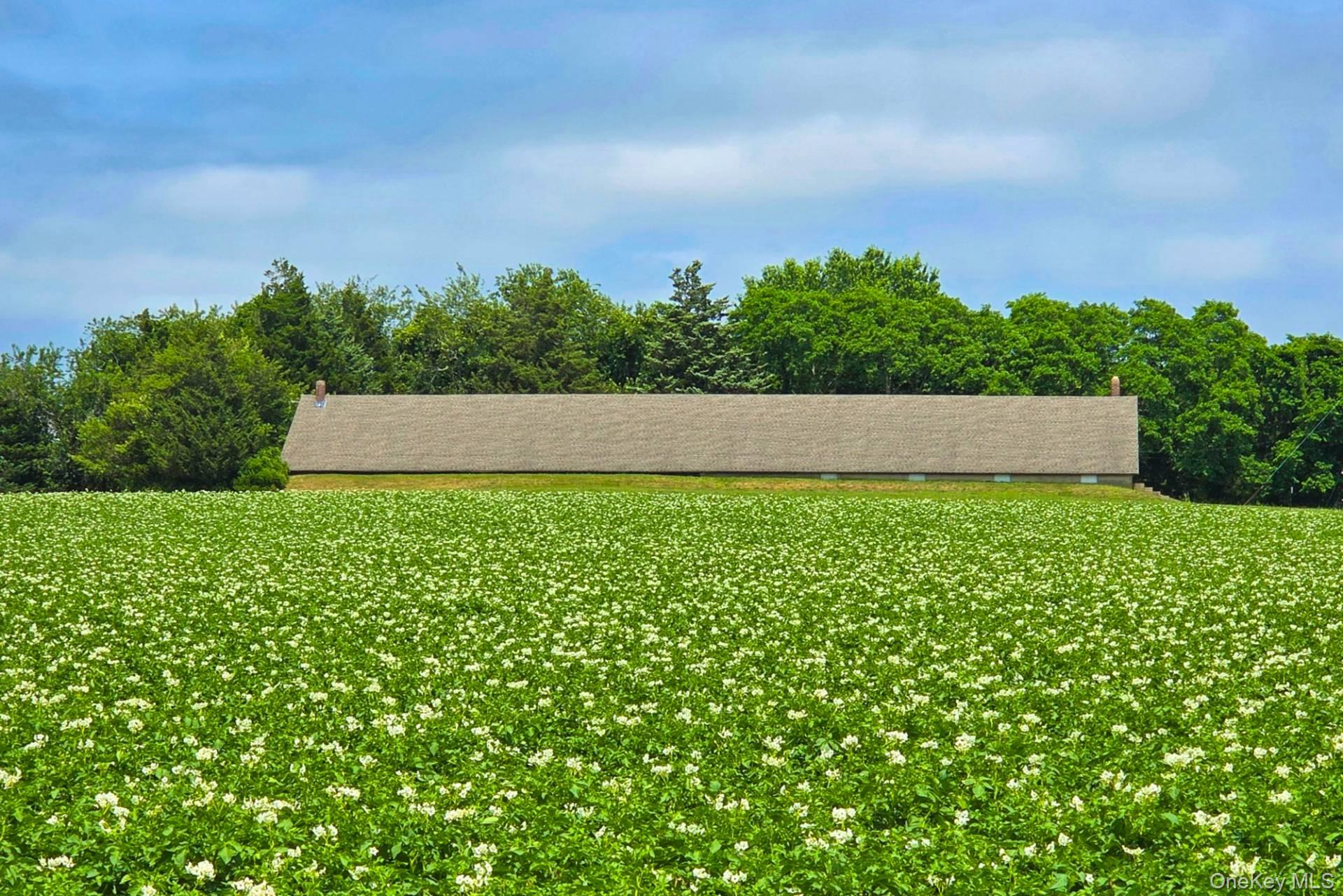 731 Deerfield (Lot #4) Road