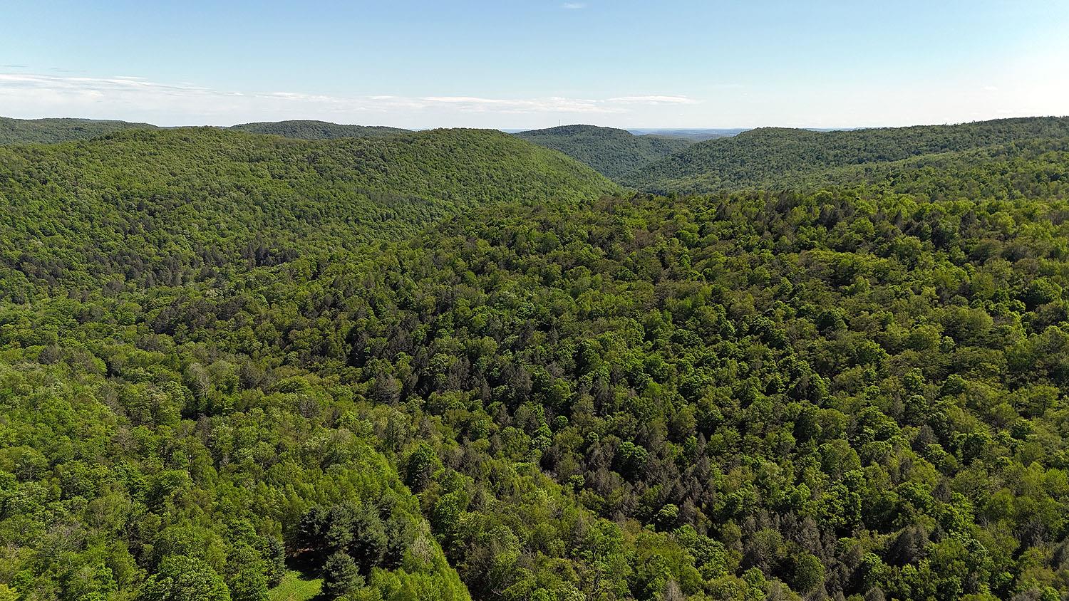 John Milk Road, Long Eddy, New York image 42