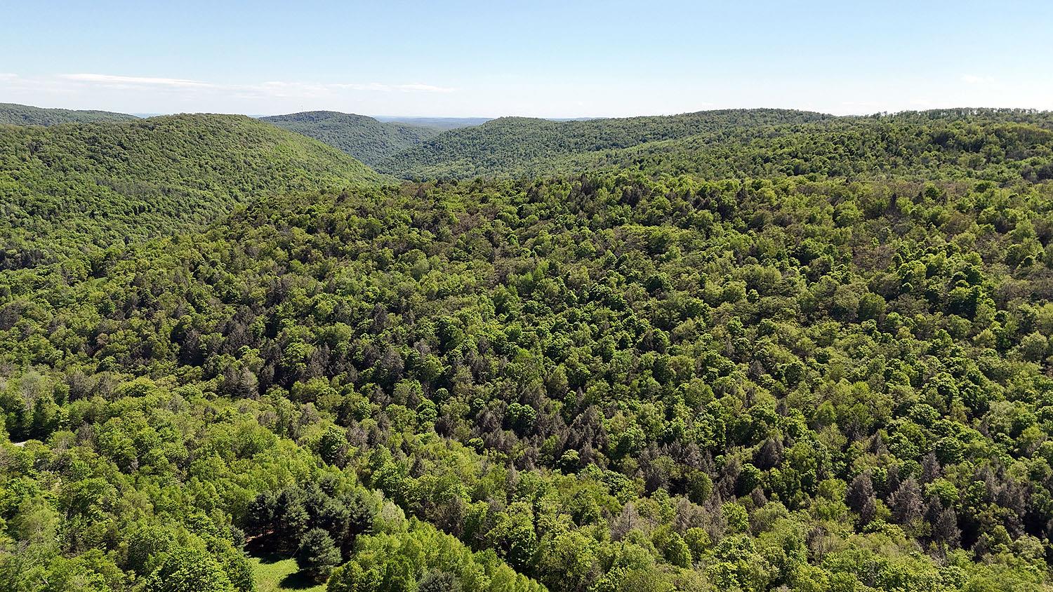John Milk Road, Long Eddy, New York image 31