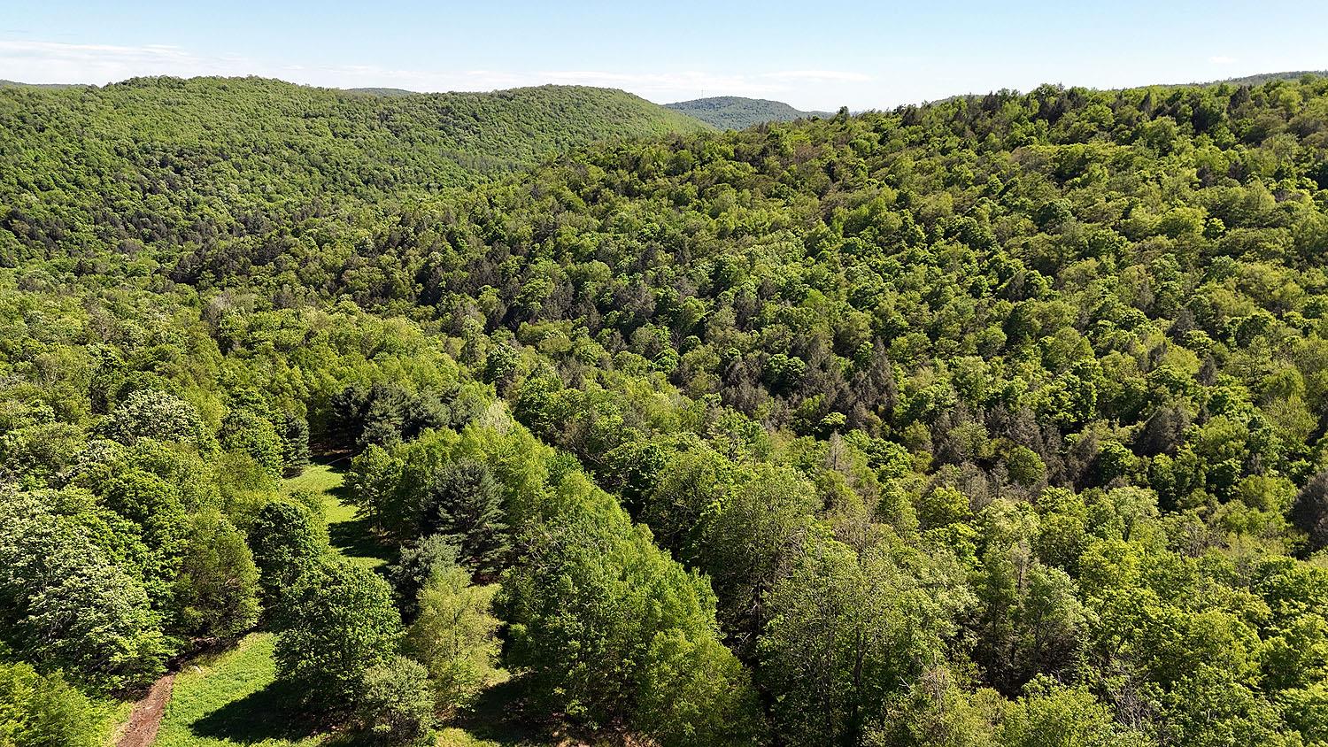 John Milk Road, Long Eddy, New York image 44