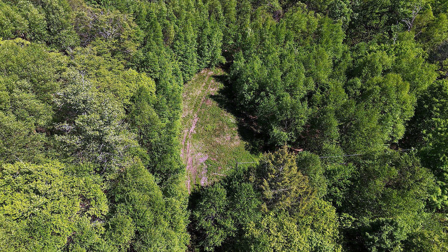 John Milk Road, Long Eddy, New York image 34