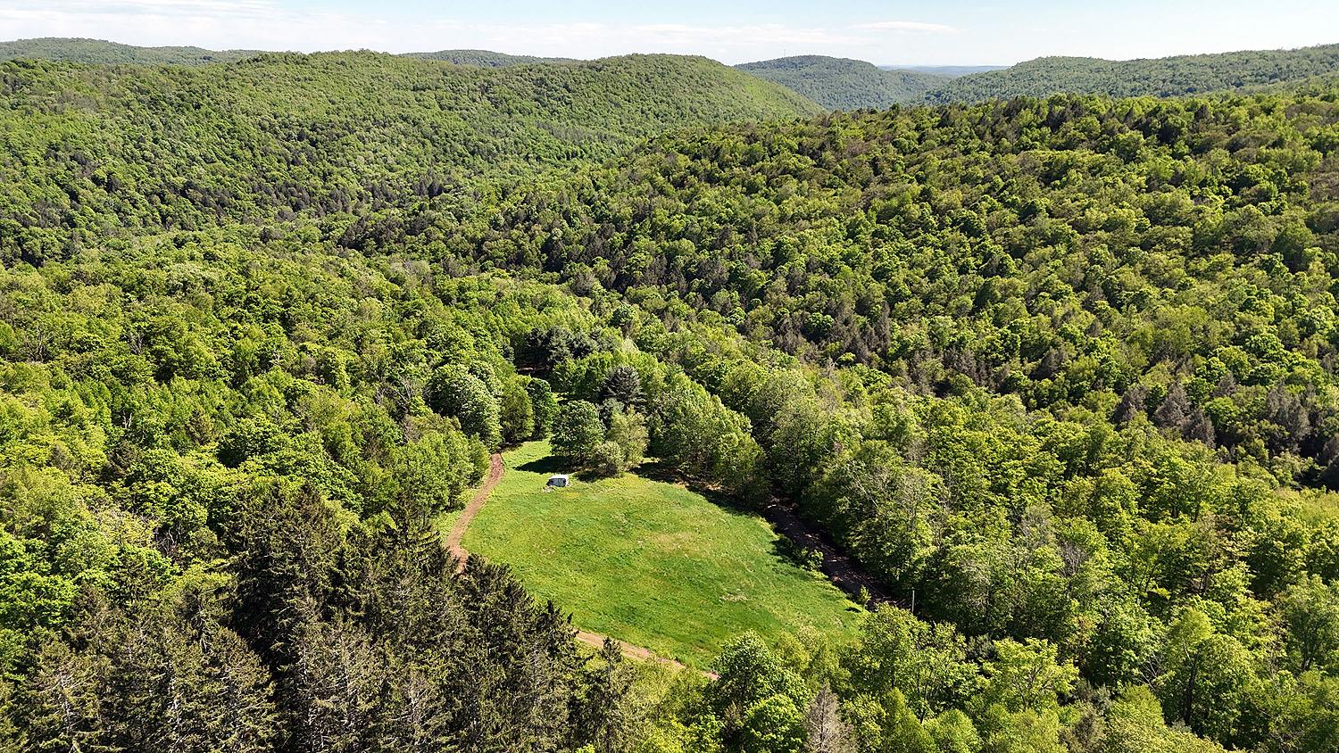 John Milk Road, Long Eddy, New York image 1