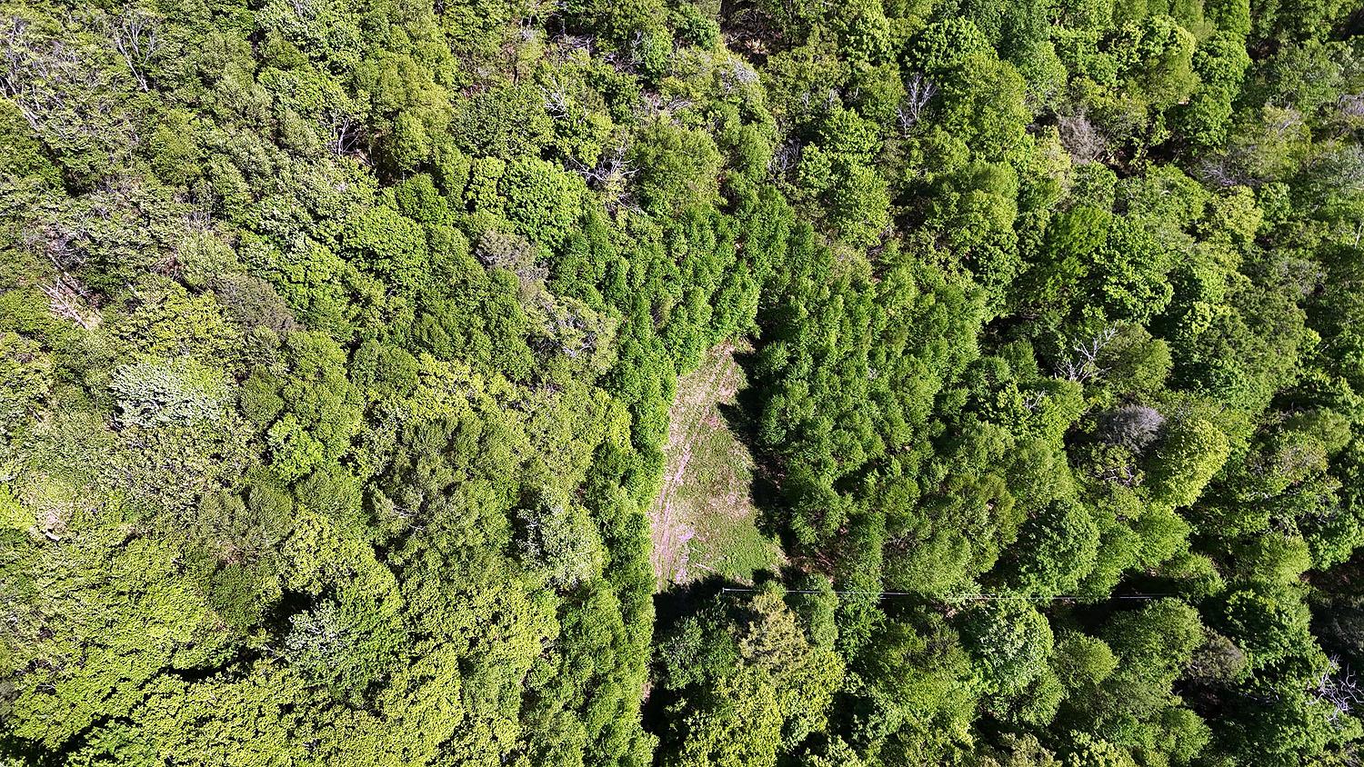 John Milk Road, Long Eddy, New York image 33