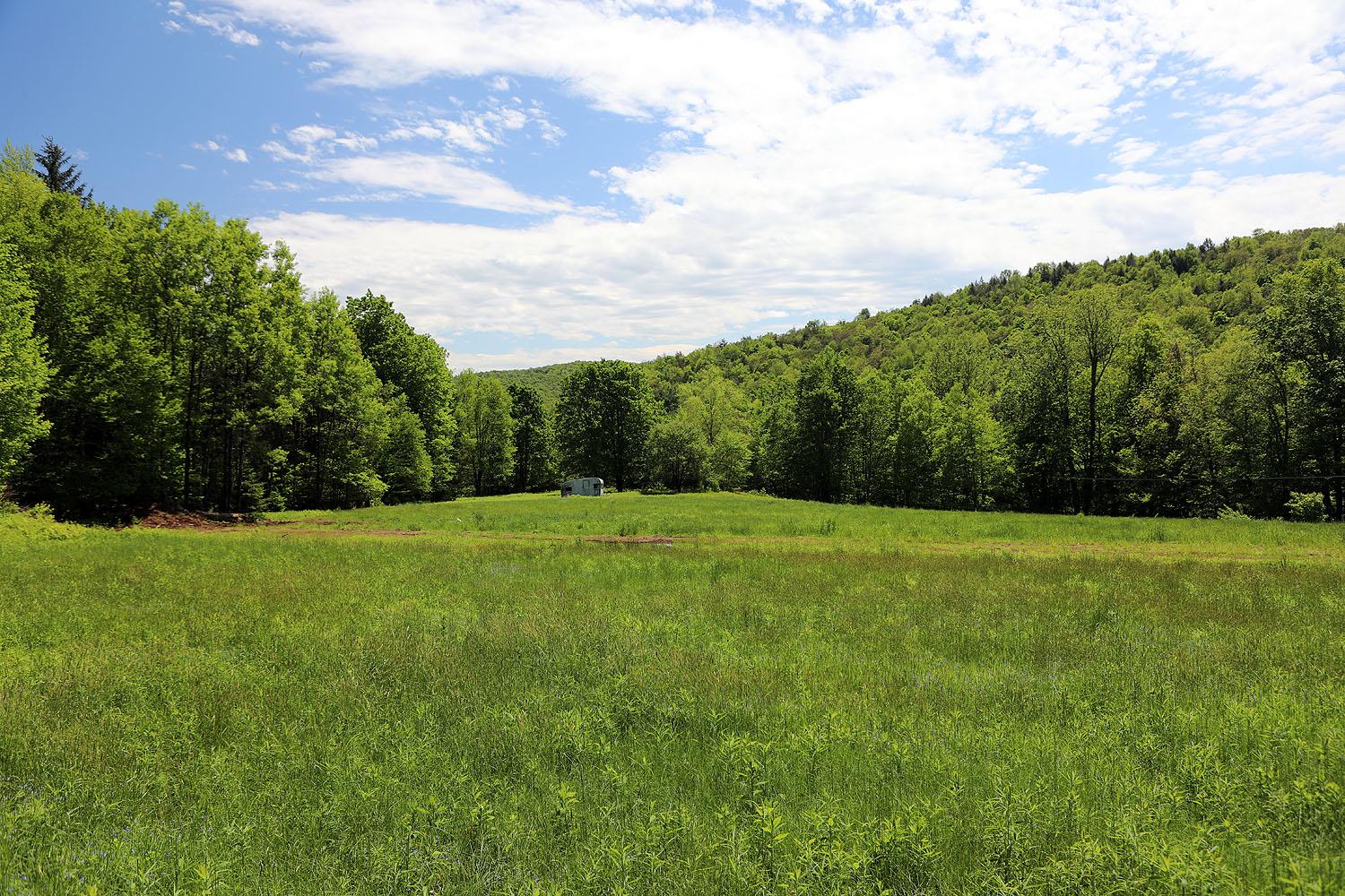 John Milk Road, Long Eddy, New York image 9