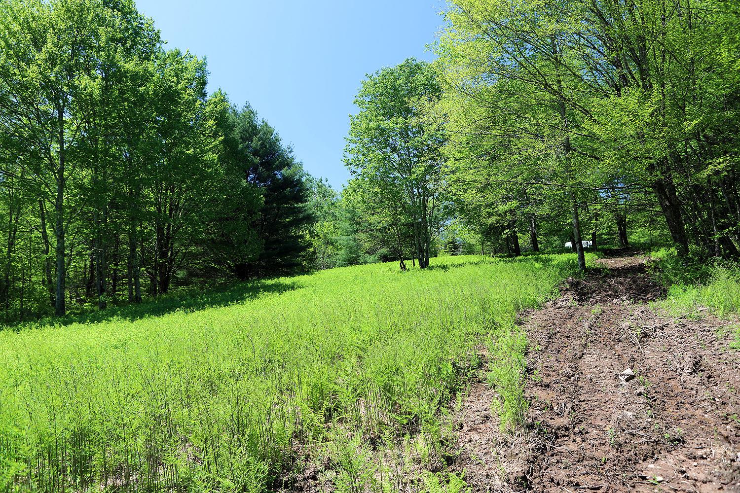 John Milk Road, Long Eddy, New York image 19
