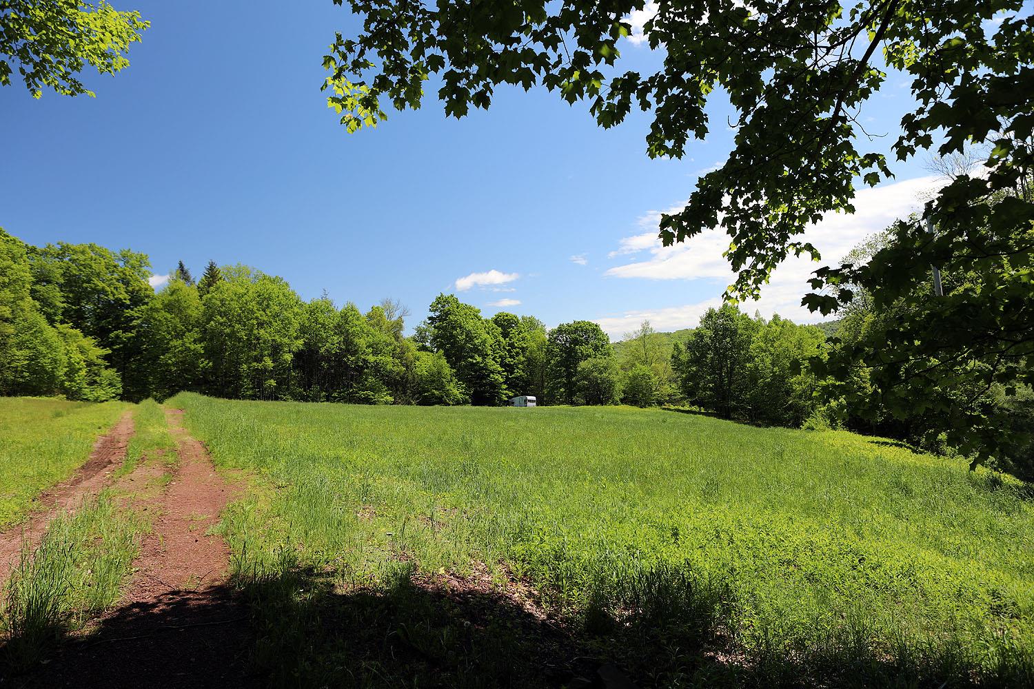 John Milk Road, Long Eddy, New York image 6