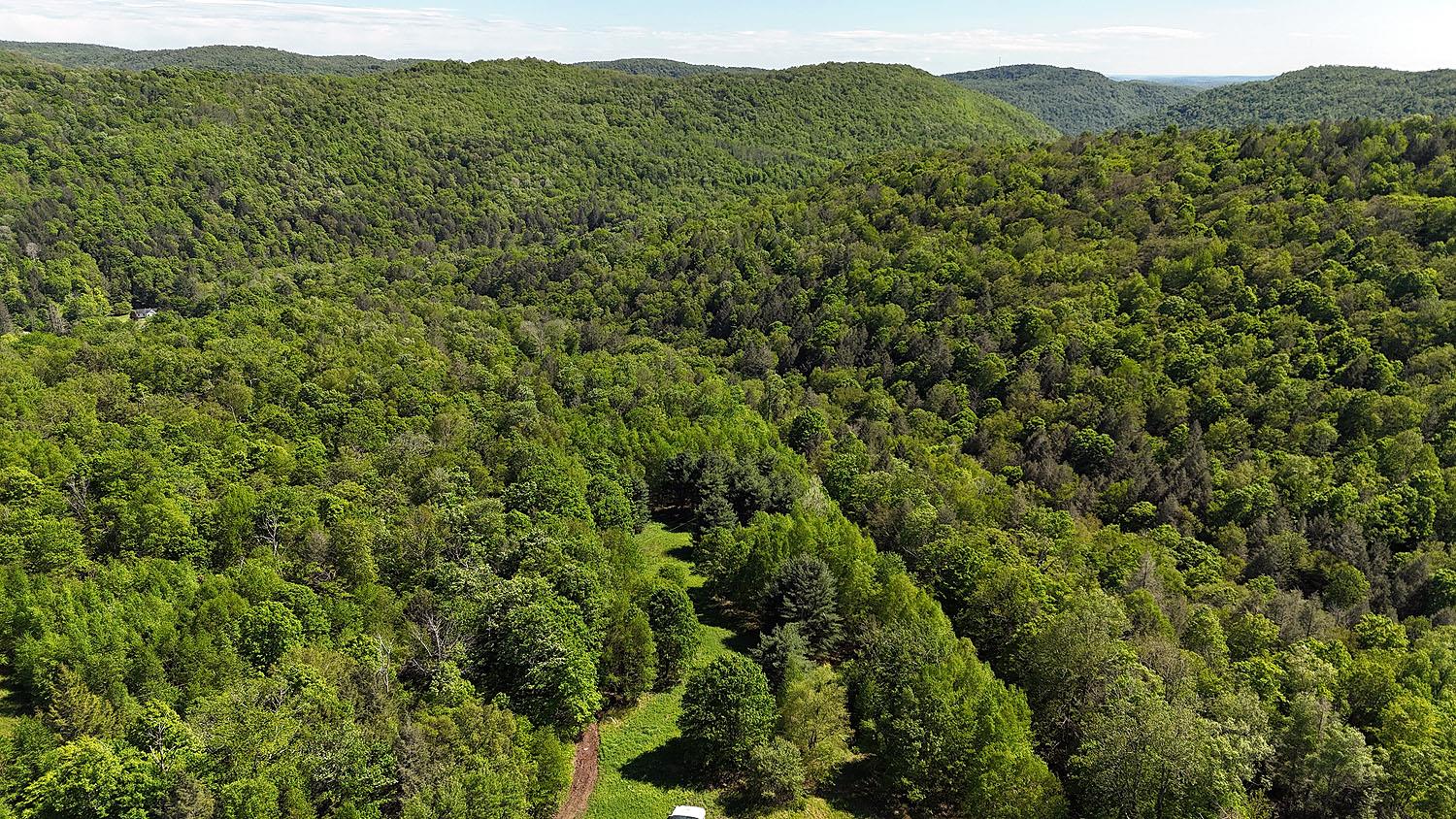 John Milk Road, Long Eddy, New York image 46