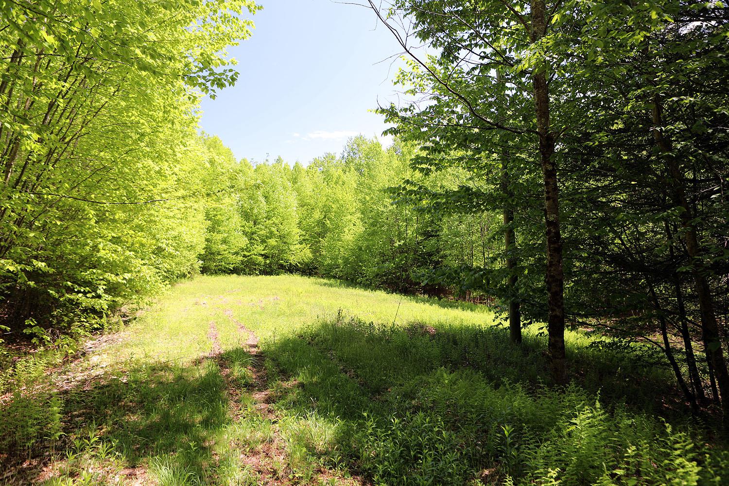 John Milk Road, Long Eddy, New York image 12