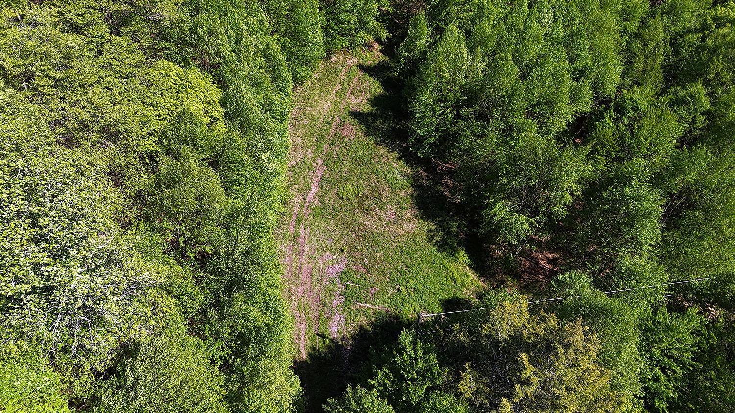 John Milk Road, Long Eddy, New York image 35