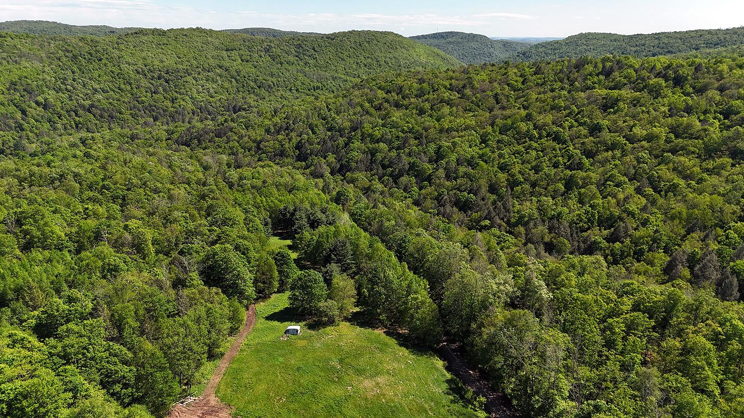 John Milk Road, Long Eddy, New York image 47