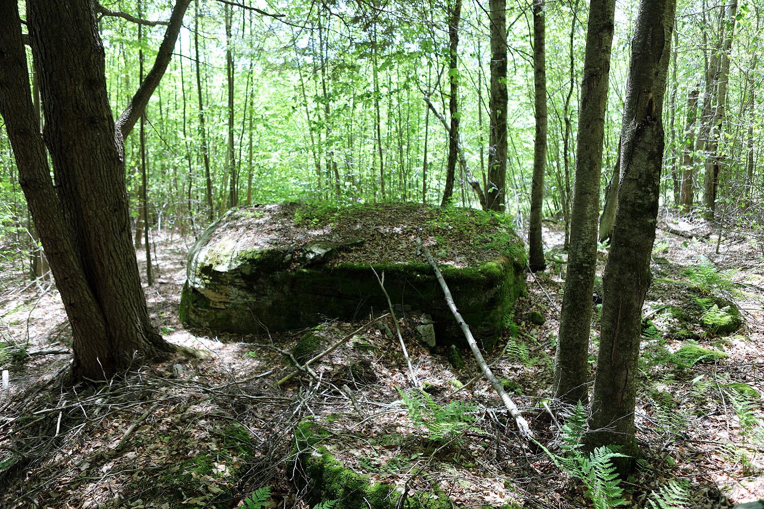 John Milk Road, Long Eddy, New York image 16