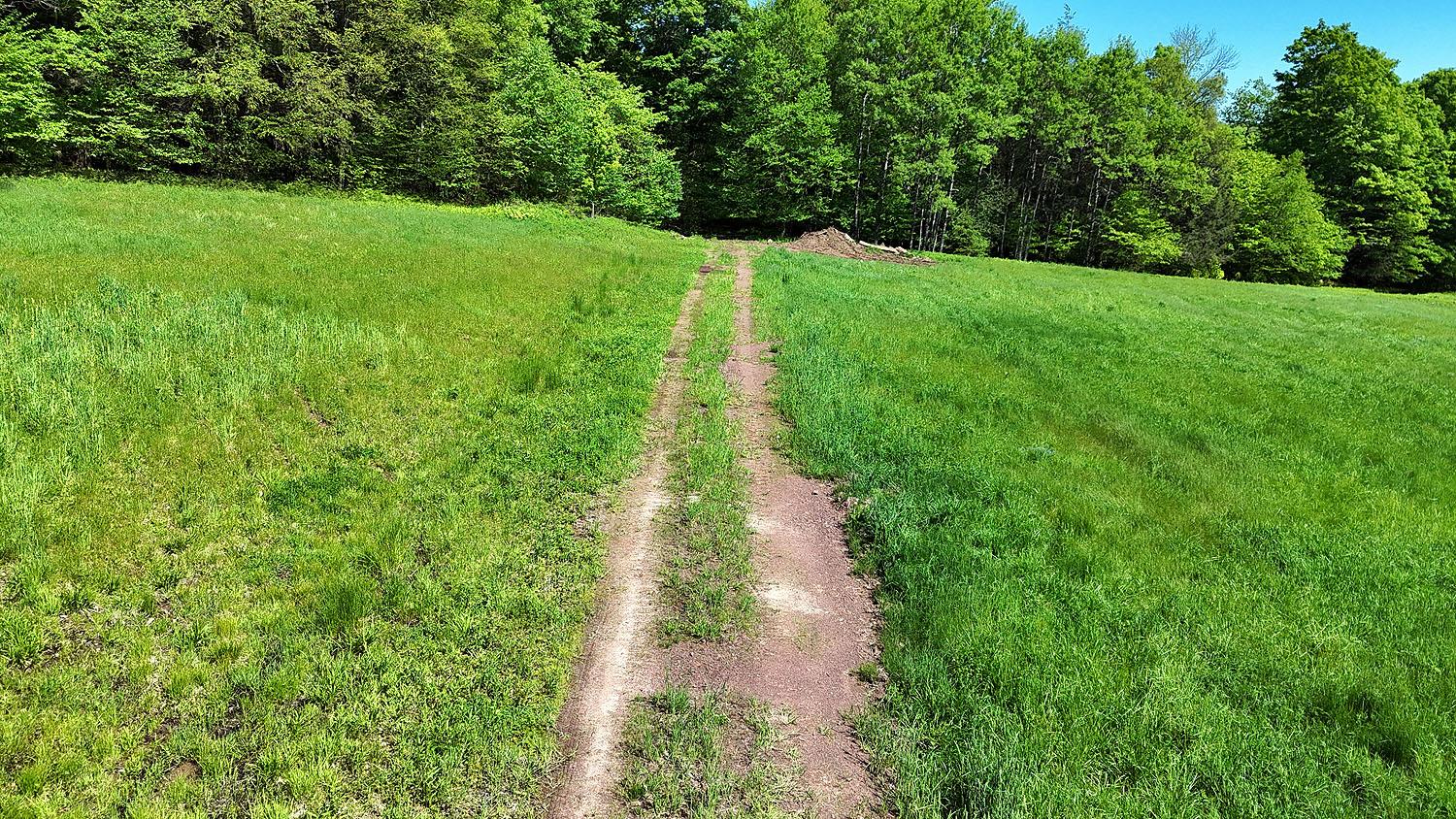 John Milk Road, Long Eddy, New York image 49