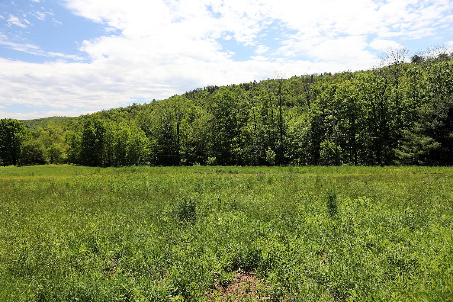 John Milk Road, Long Eddy, New York image 8