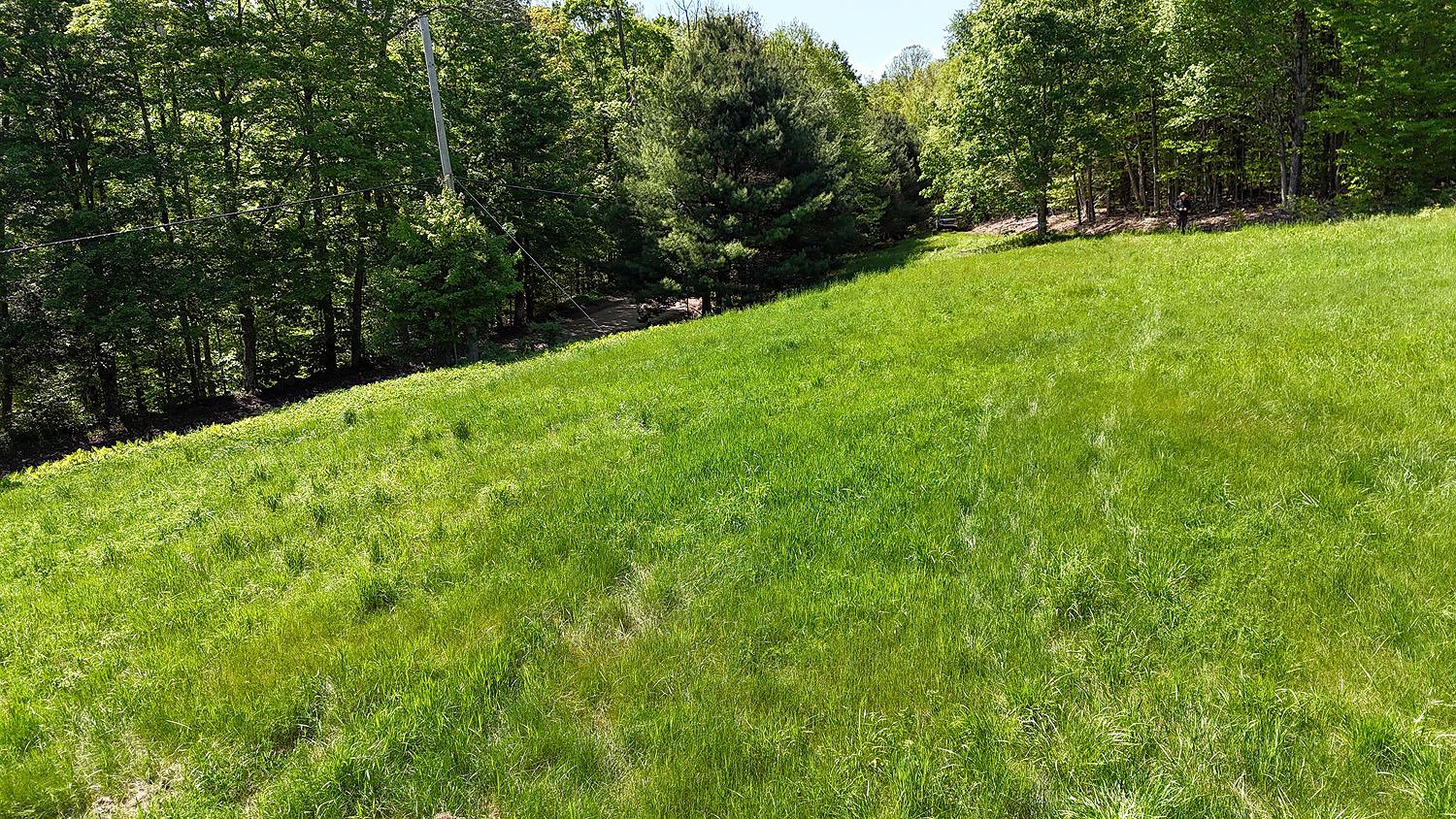 John Milk Road, Long Eddy, New York image 40