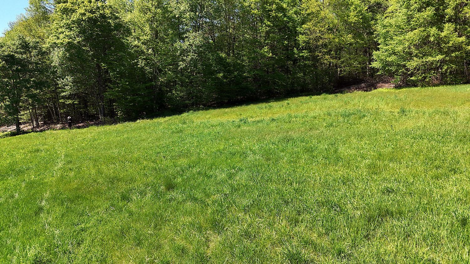 John Milk Road, Long Eddy, New York image 39