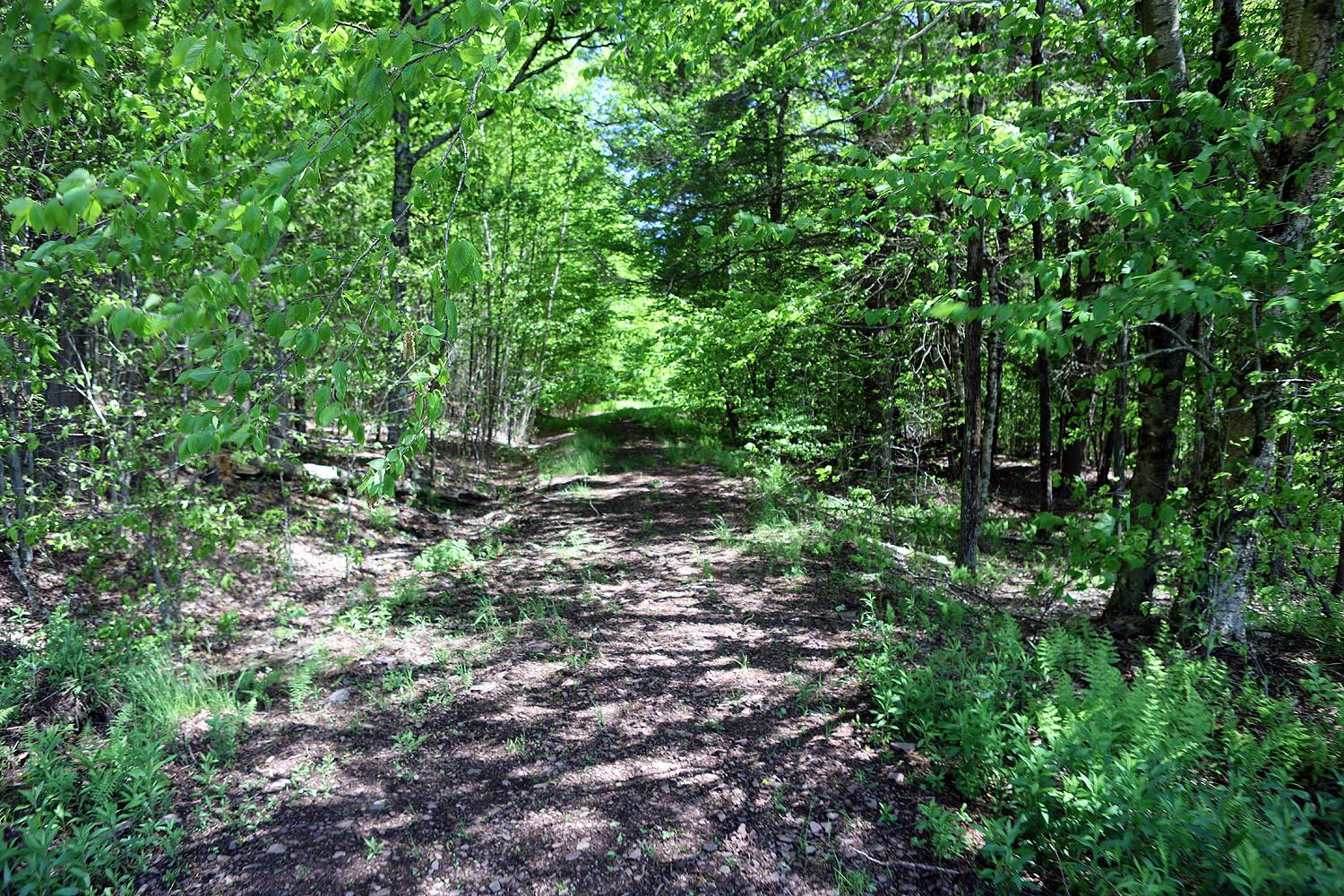 John Milk Road, Long Eddy, New York image 11