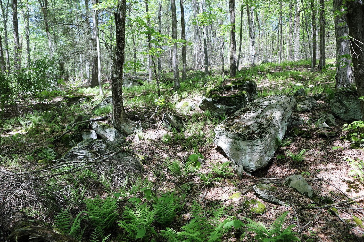 John Milk Road, Long Eddy, New York image 15