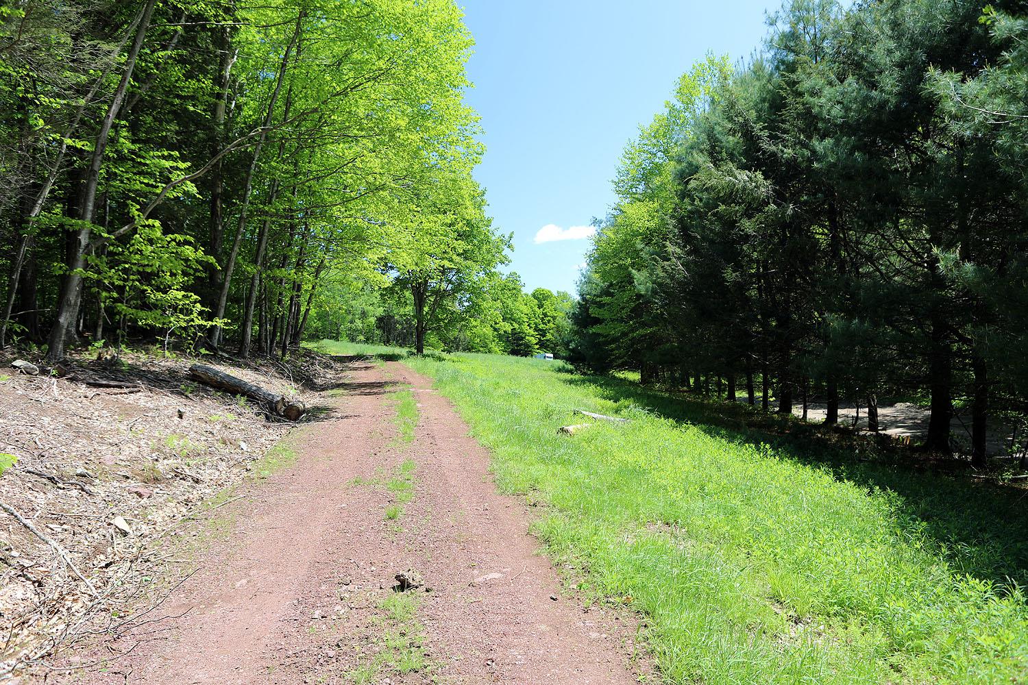 John Milk Road, Long Eddy, New York image 5